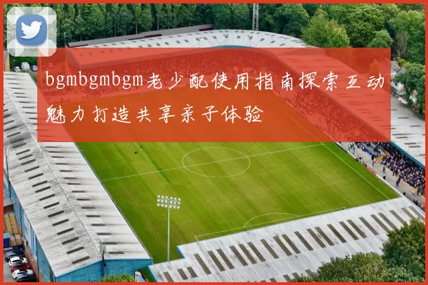 bgmbgmbgm老少配使用指南探索互动魅力打造共享亲子体验