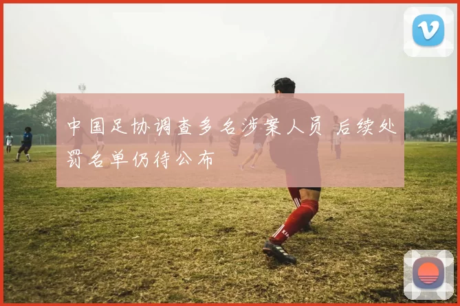 中国足协调查多名涉案人员 后续处罚名单仍待公布