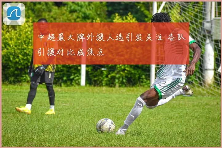 中超最大牌外援人选引发关注 各队引援对比成焦点